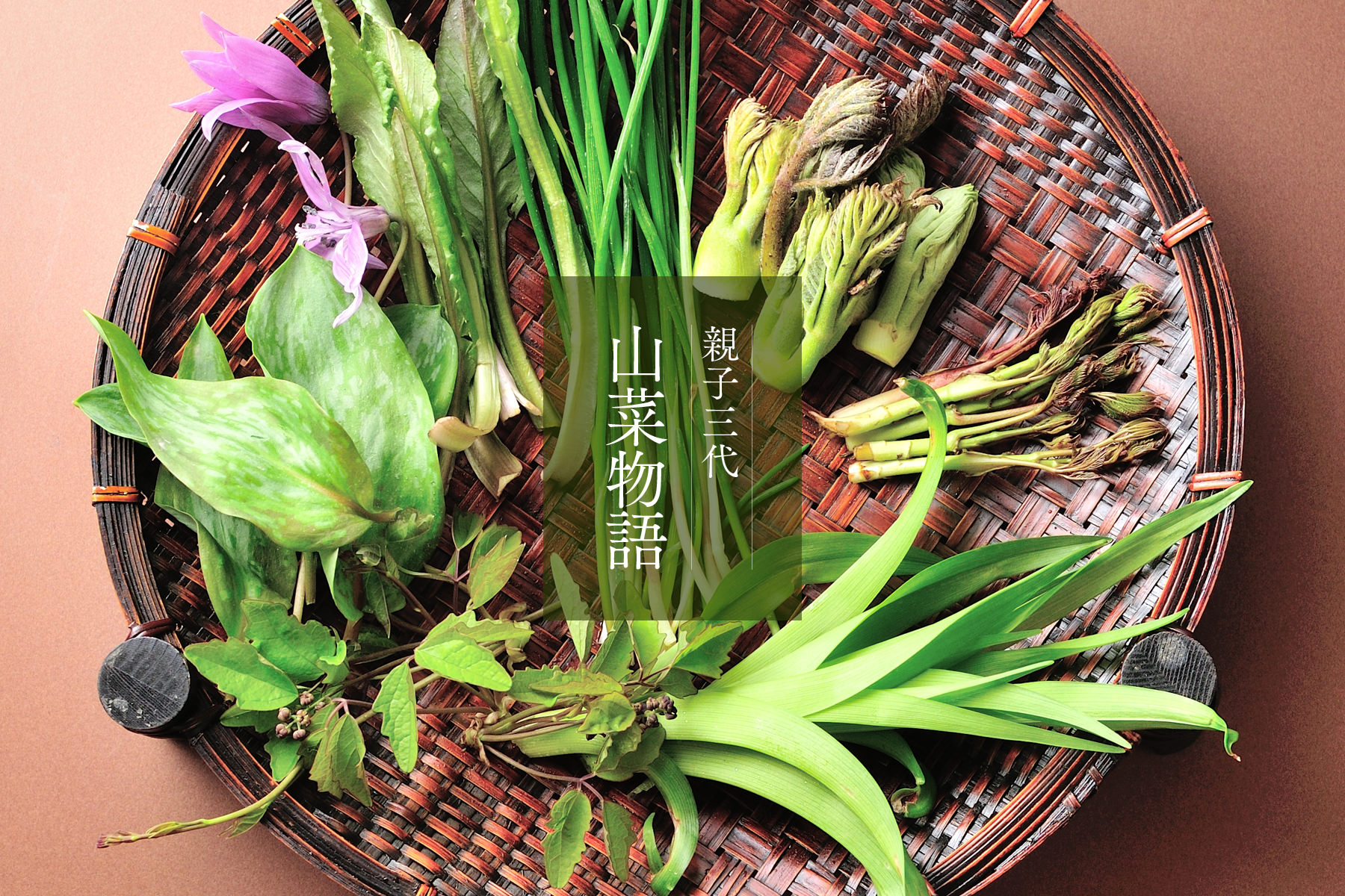 親子三代 山菜物語