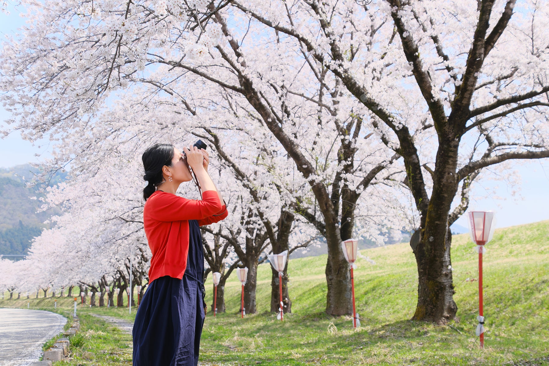 春-桜と女性1