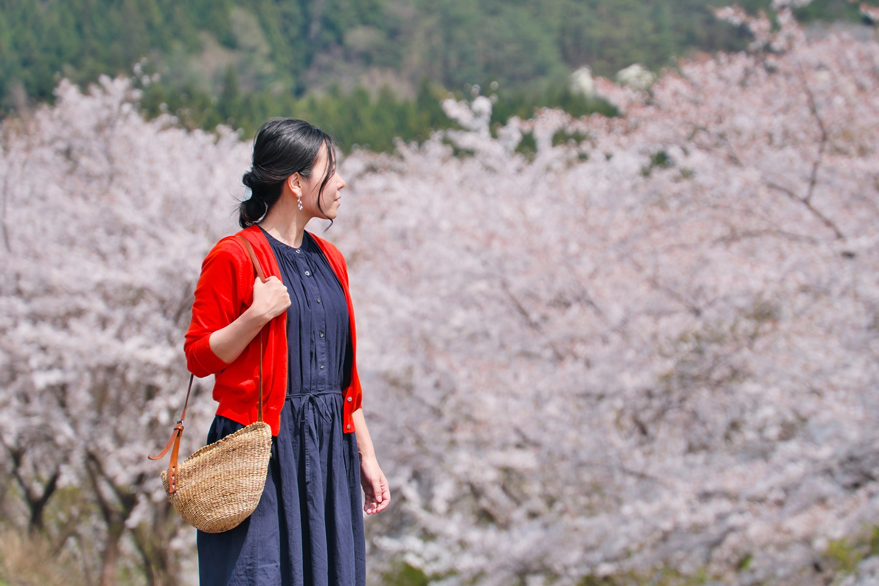 春-桜と女性2