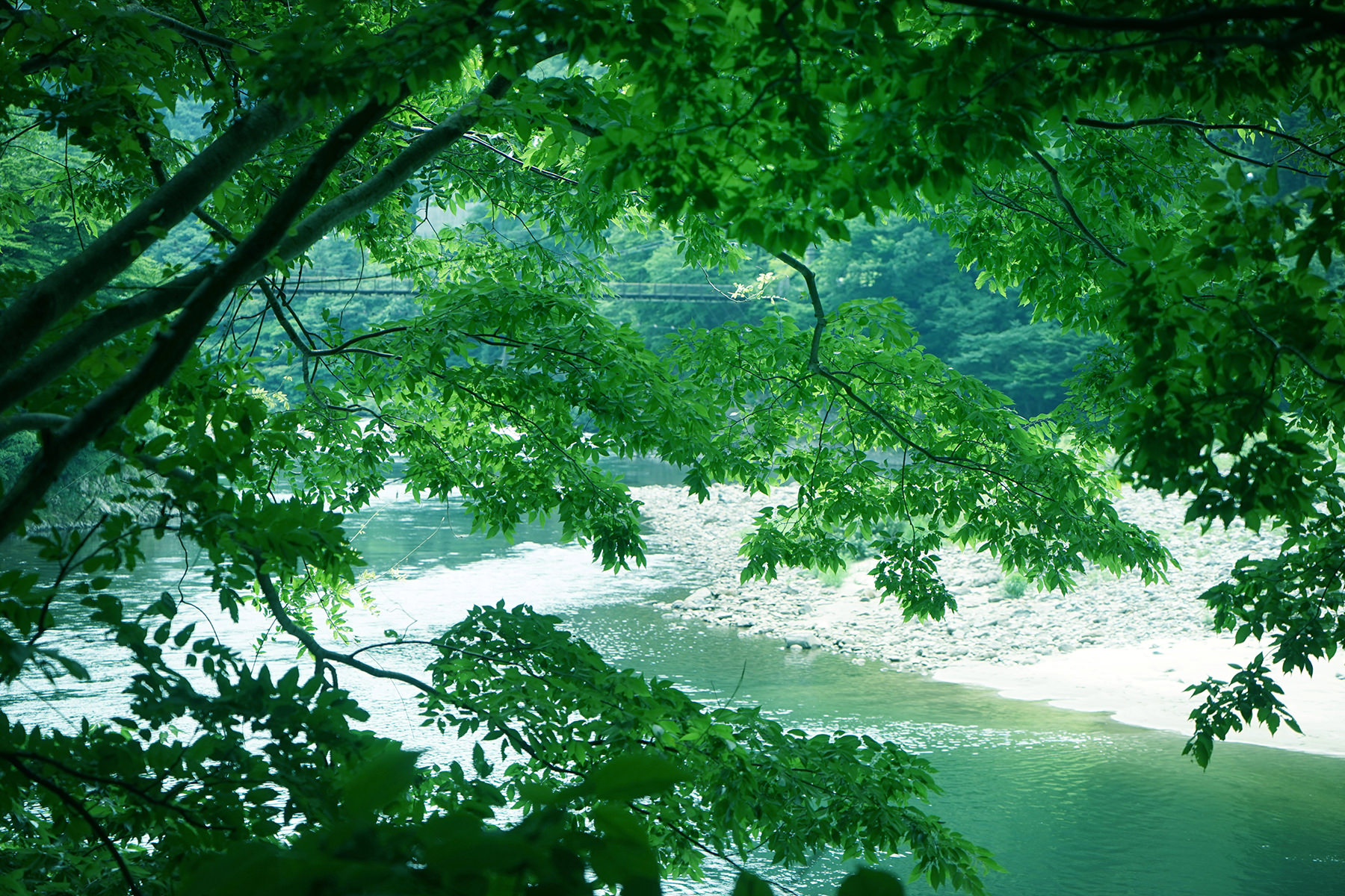 夏-荒川の眺め