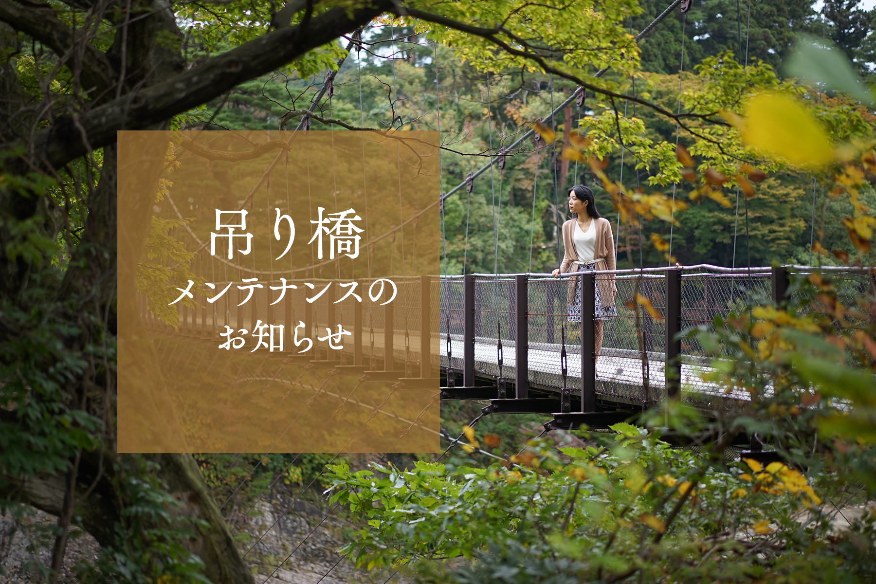 吊り橋メンテナンス11月4日終了のお知らせ