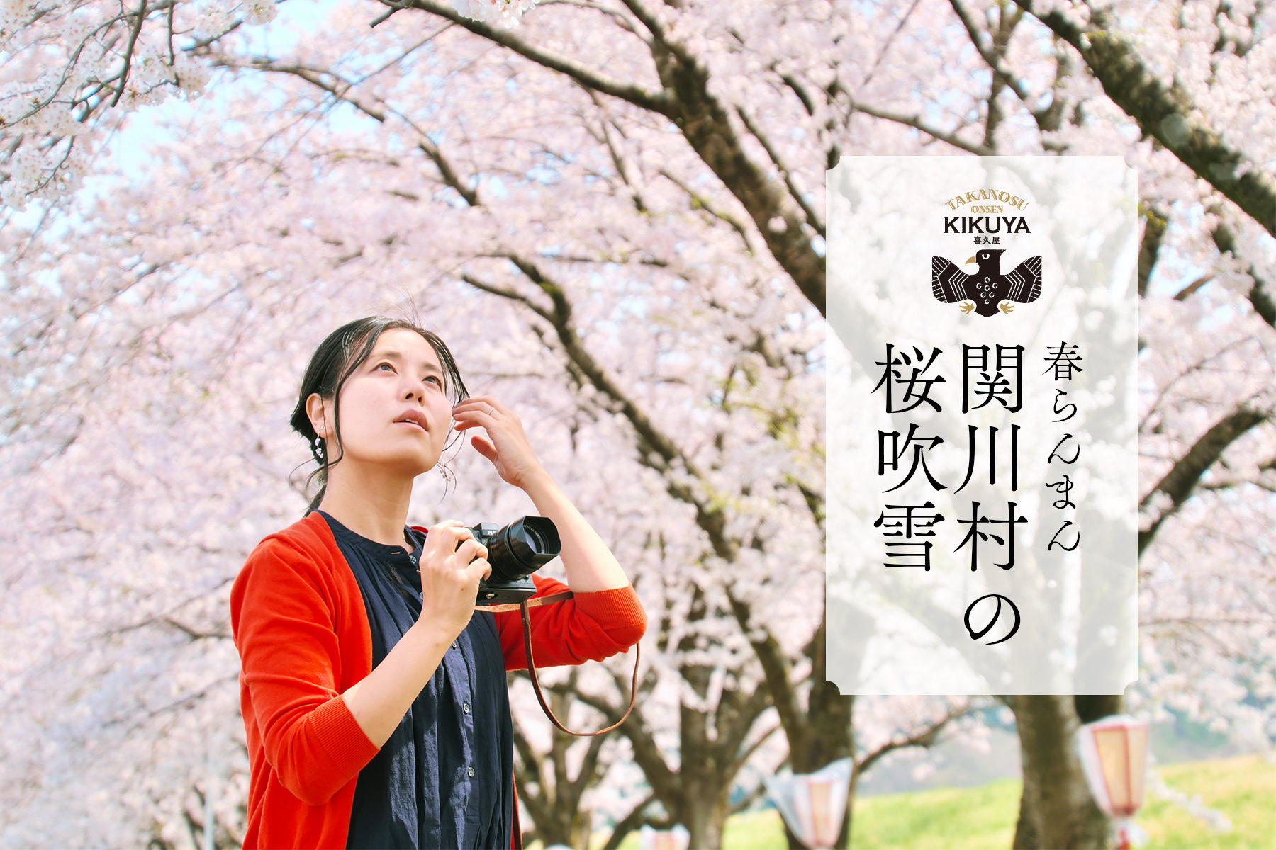関川村の桜吹雪