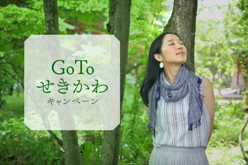 Gotoせきかわキャンペーン